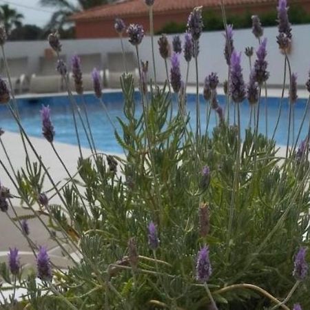 Villa Marti カルプ エクステリア 写真