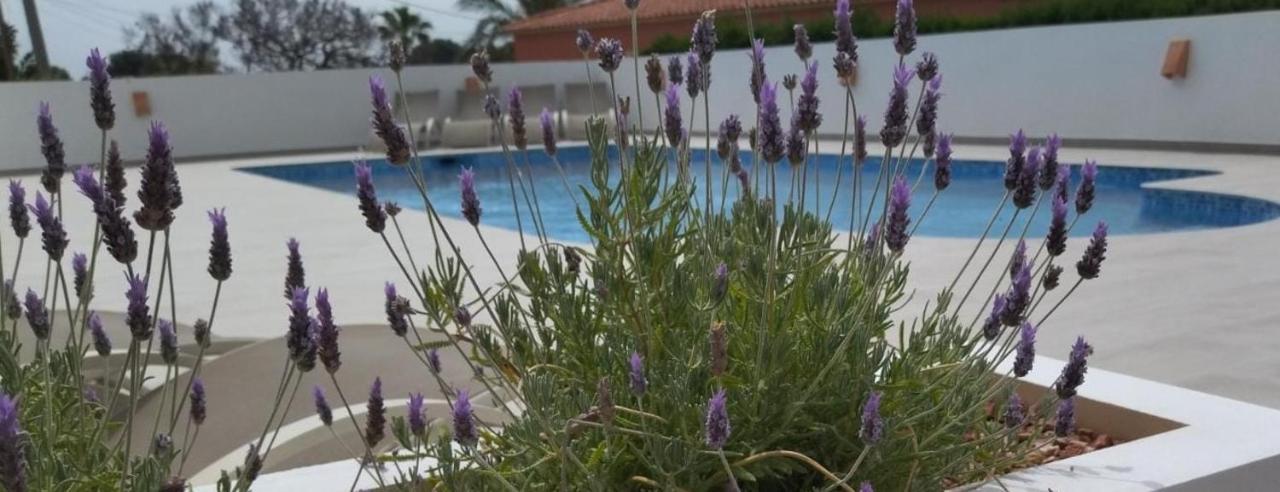Villa Marti カルプ エクステリア 写真
